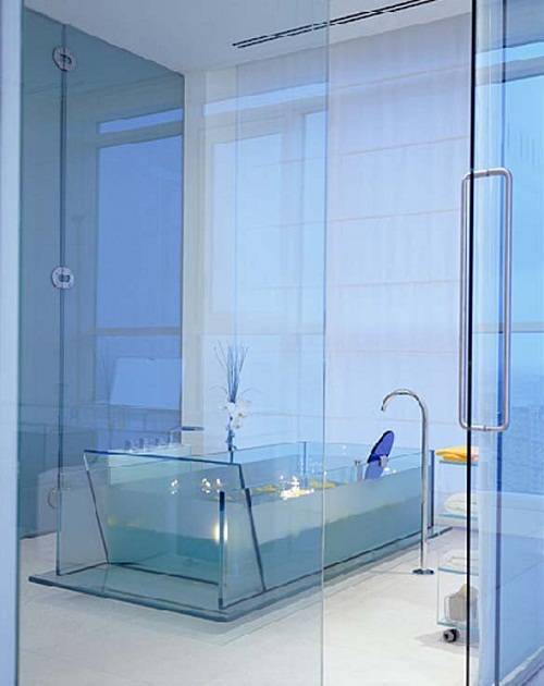 Прозрачная ванная - 65 фото вариантов стильного дизайна