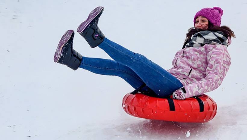 Сани и санки: варианты, конструкция, история, технологии изготовления. обновление 2020 года