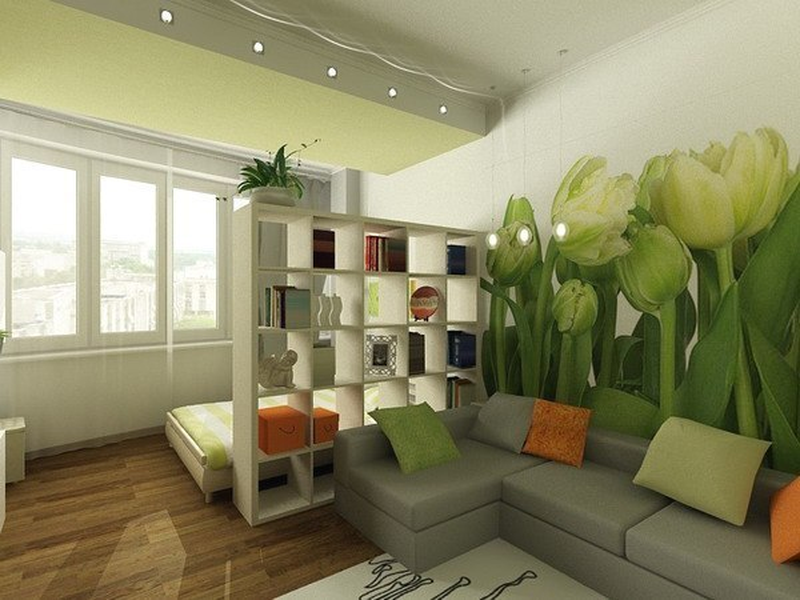 Перегородка в гостиной: 100 фото красивых идей - дизайн интерьера