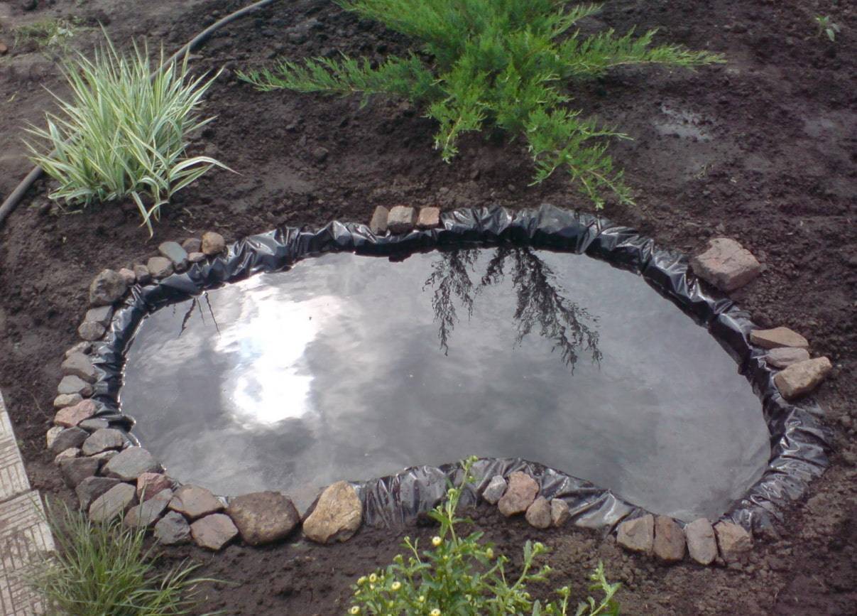 Как сделать пруд на даче своими руками – искусственный декоративный водоем в саду и на участке, пошагово с фото