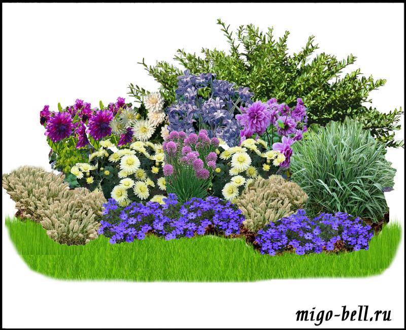 Семь типов цветника | цветники | журнал «дом и сад»
