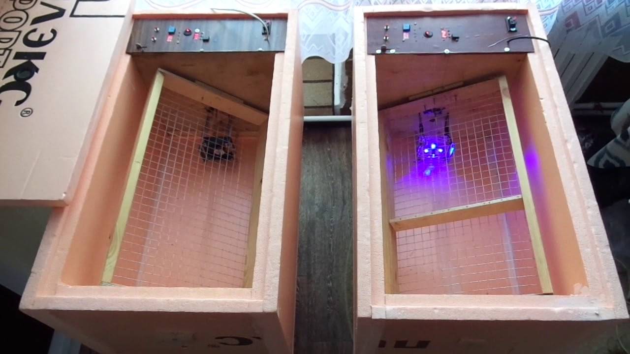 Делаем инкубатор своими руками в домашних условиях